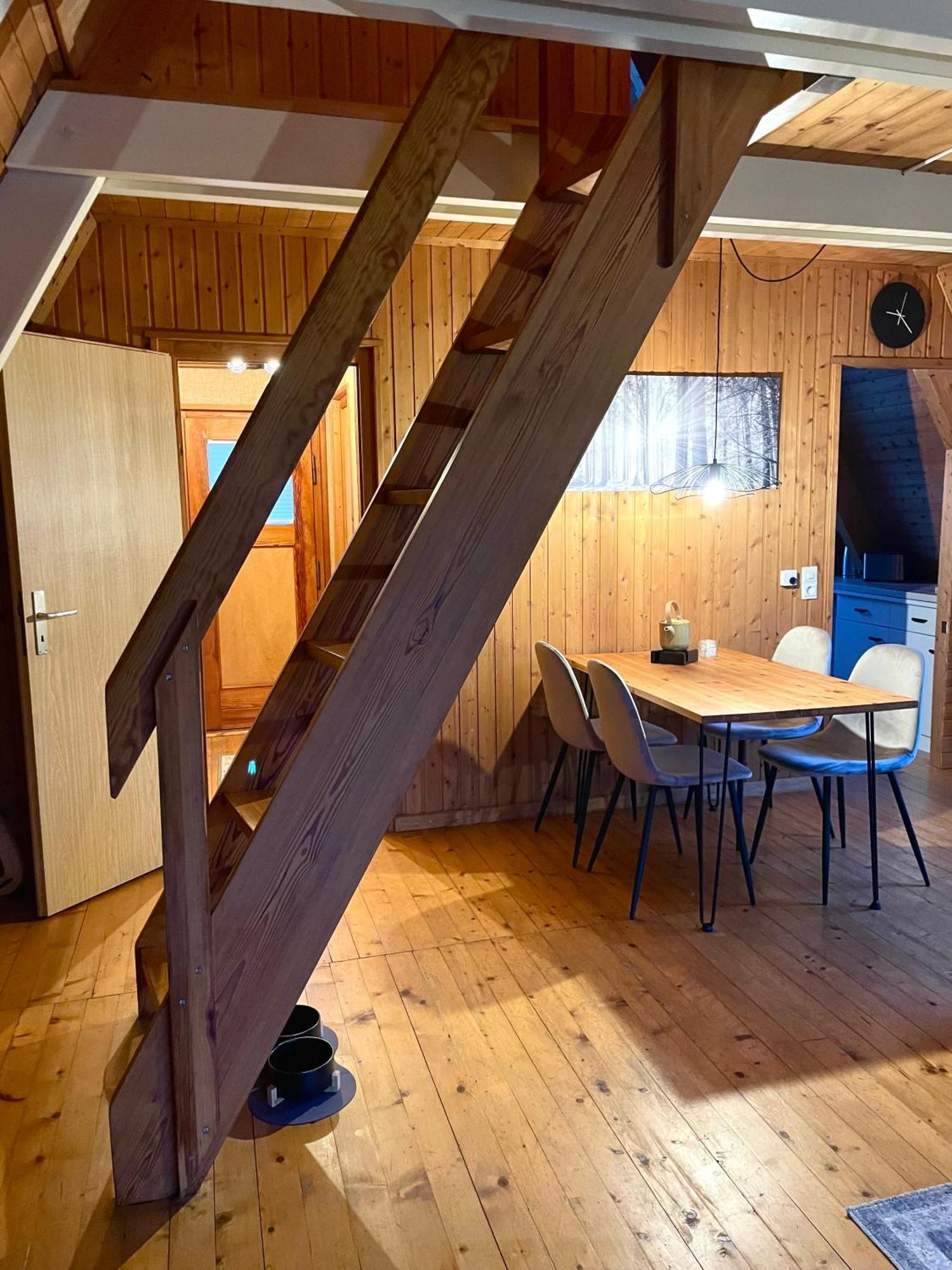 Nur-Dach-Haus Am Alfsee Rieste 외부 사진